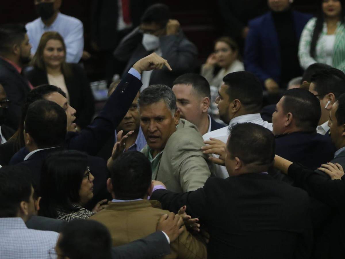 Diputados de Libre y el PN se van a golpes en sesión