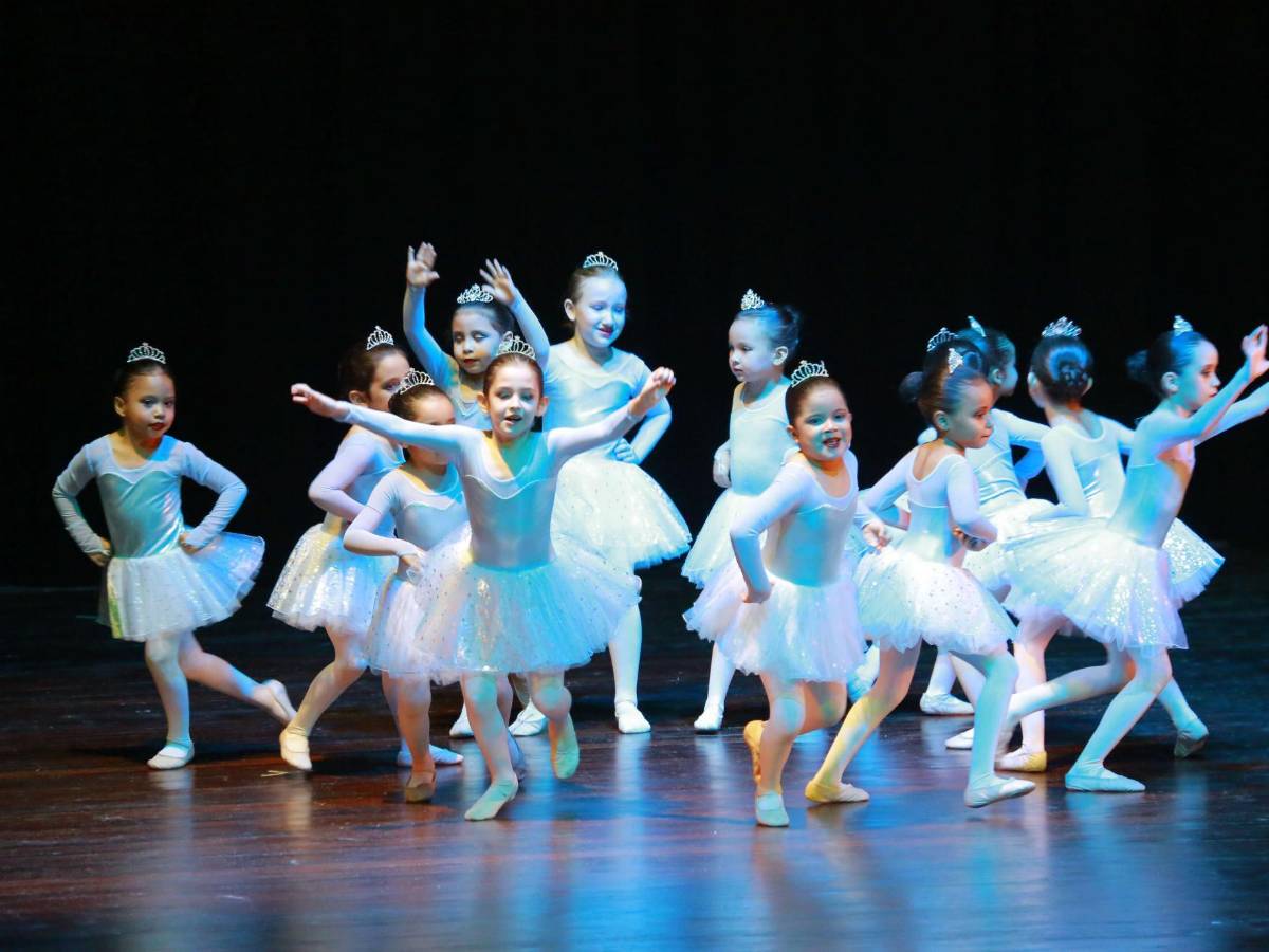 Academia de Bellas Artes celebra 51 años de fundación