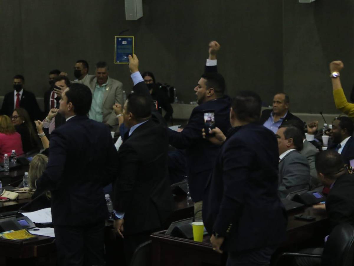 Diputados de Libre y el PN se van a golpes en sesión