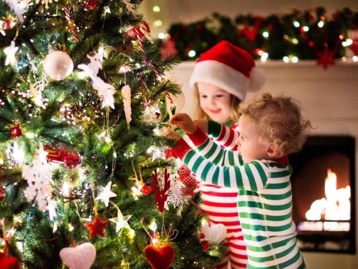 El árbol de Navidad no puede faltar en los hogares en esta temporada.