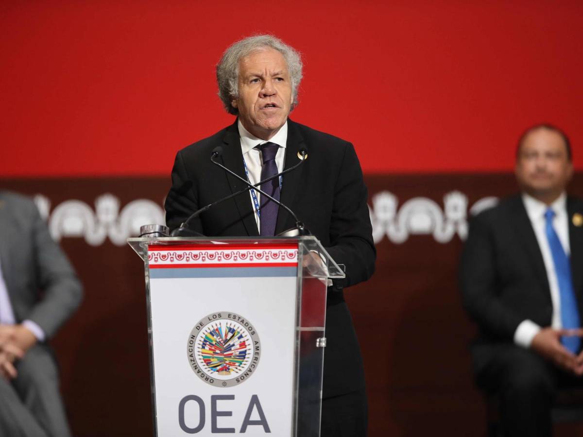 Luis Almagro reconoce a Dina Boluarte como presidenta de Perú