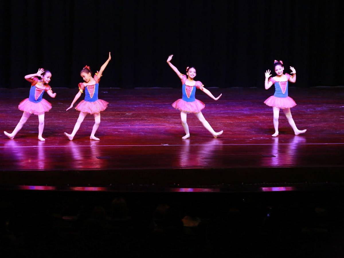 Academia de Bellas Artes celebra 51 años de fundación