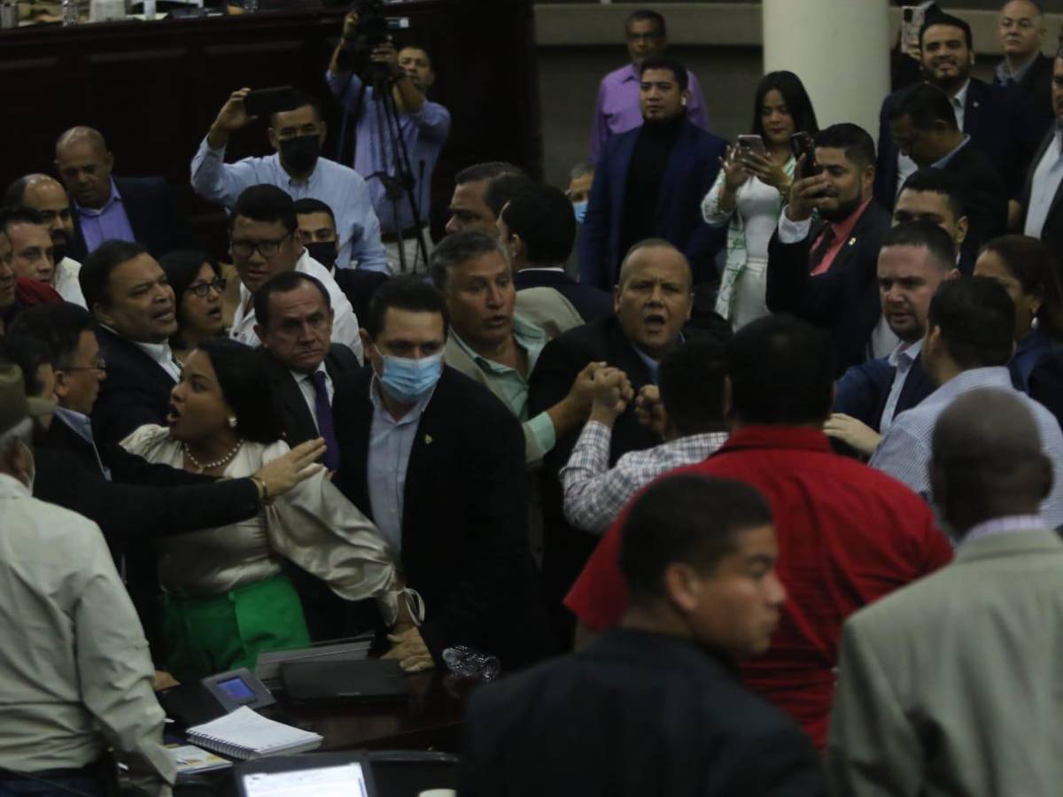 Diputados de Libre y el PN se van a golpes en sesión