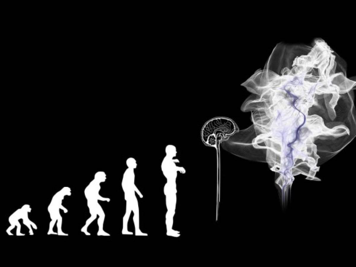 El cerebro humano moderno evolucionó hace menos tiempo de lo que se pensaba, indica un estudio