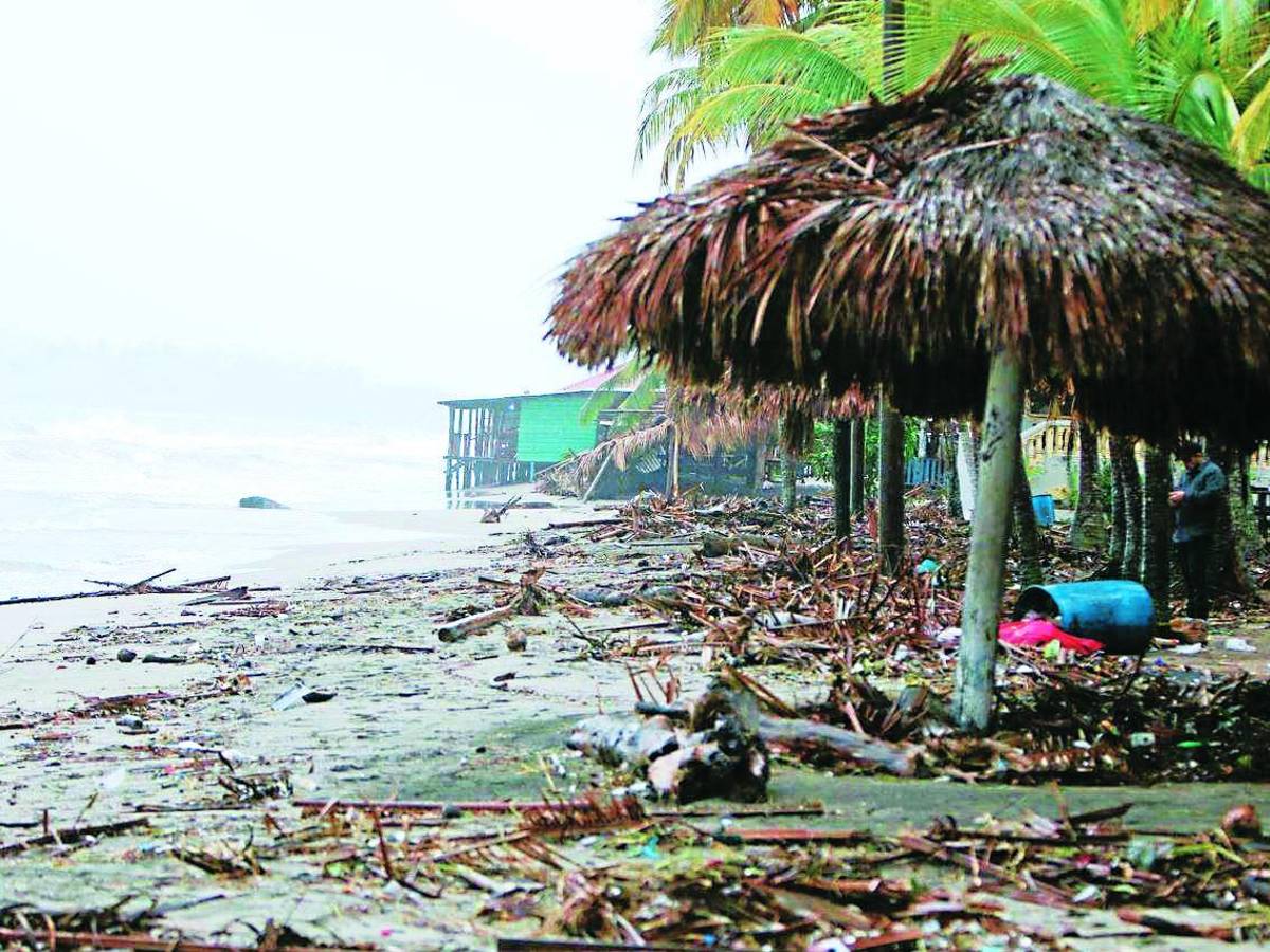 Pronostican que las noches seguirán frescas por bajas temperaturas