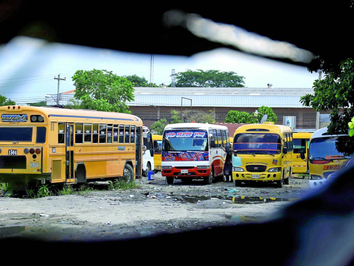 Buses de ruta 7 parados por nuevo cobro de extorsión