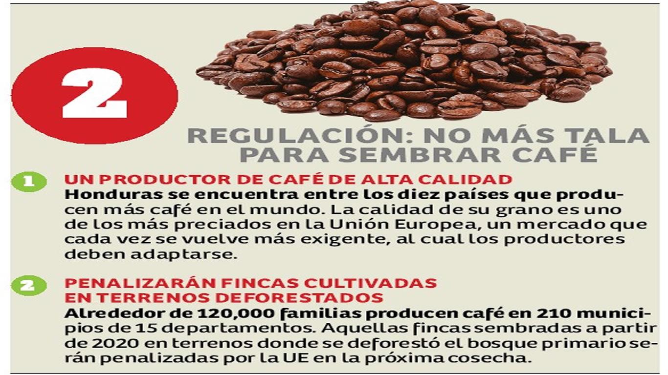 $!Aprietos y nuevas reglas asfixian a los caficultores