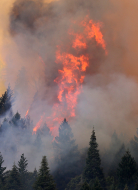 Incendio forestal en California