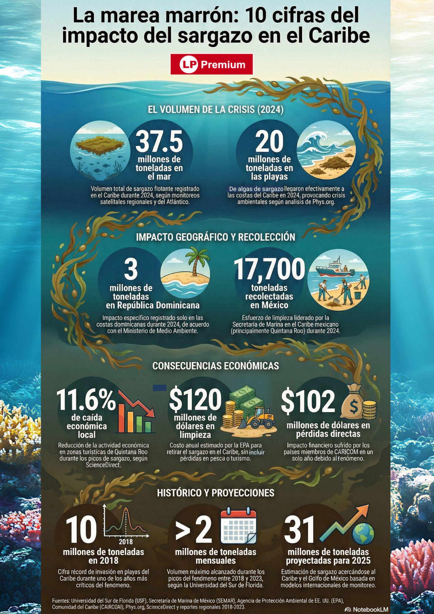 Elaboración propia vía Notebook LM