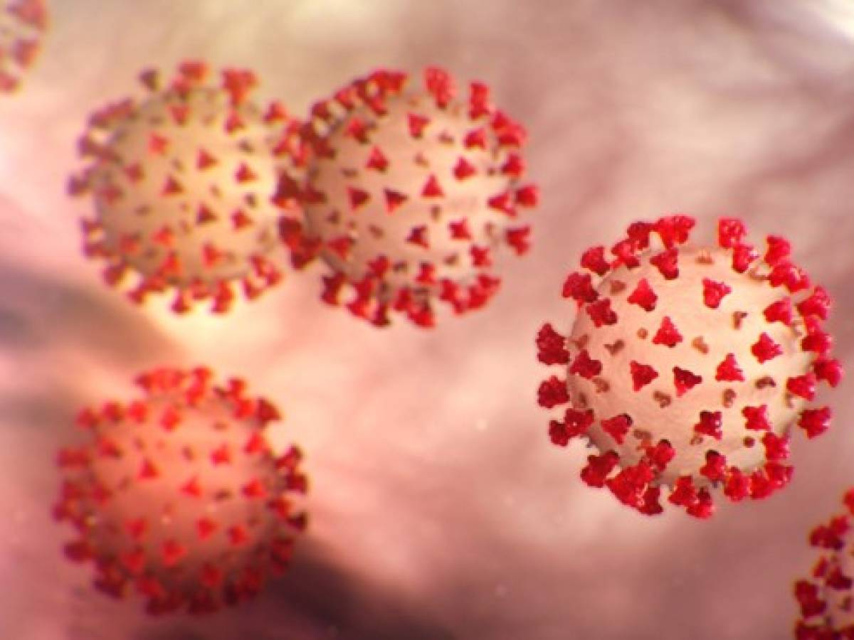El coronavirus puede sobrevivir en las superficies durante horas, según estudio