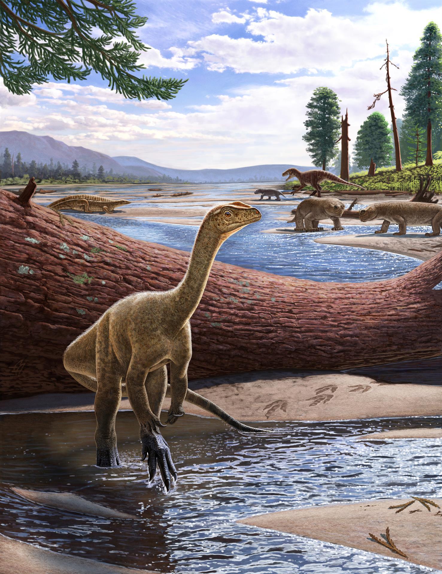 Descubren en Zimbabue el dinosaurio más antiguo de África - Diario La Prensa