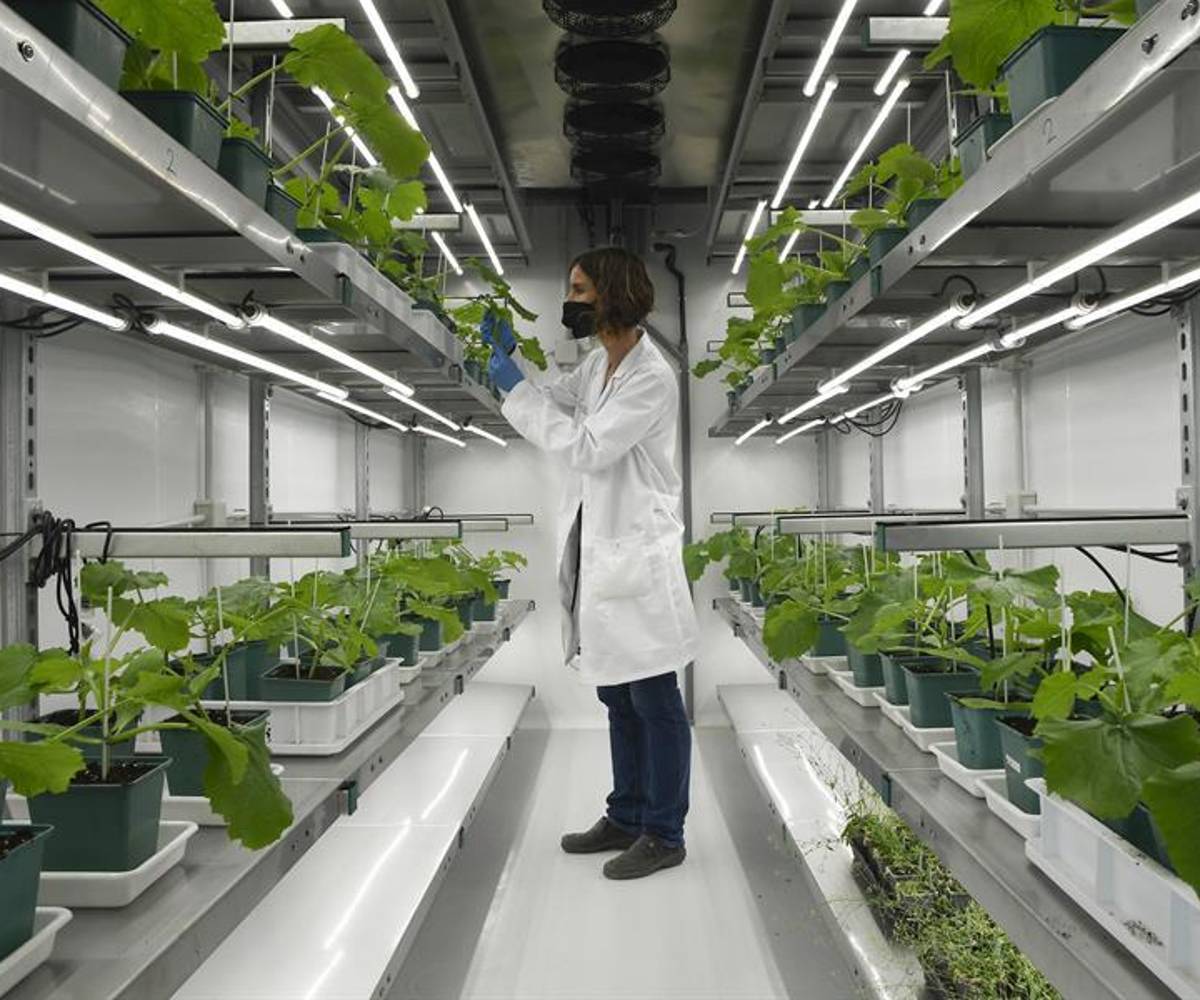 La IA ha tenido participación en soluciones para frenar las sequías, Honduras tendría una oportunidad para implementarlo.