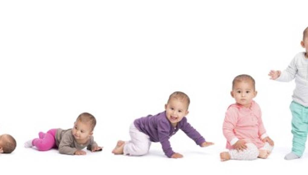 El buen desarrollo temprano fortalece su cerebro