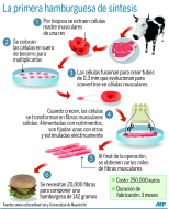 Científicos crean la primera hamburguesa de laboratorio