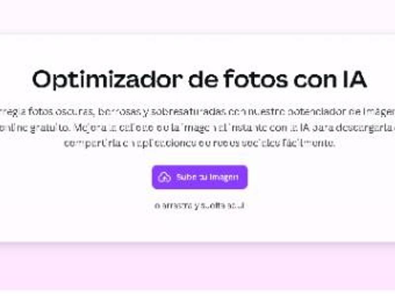 Transparencia que cautiva: 5 tendencias en imágenes sin fondo