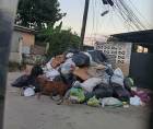Esta es la realidad que están viviendo en la colonia Las Brisas y ya no saben a donde recurrir para denunciar la situación por las fallas en la recolección de los desechos.