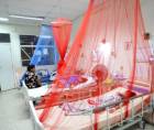 En el Hospital Escuela se reporta un acumulado de 34 personas hospitalizadas por dengue este año; la mayoría son menores de entre 5 y 17 años de edad.
