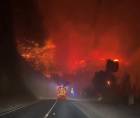 Un incendio en la costa adriática de Croacia provocó la muerte de una persona y la hospitalización de otras catorce este viernes, mientras ardió buena parte del continente europeo con focos repartidos en España, el Reino Unido, Francia, Alemania y Grecia. Imagen de redes sociales.