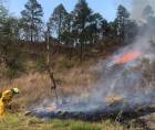Los incendios forestales han dejado miles de hectáreas dañadas en Honduras durante la temporada seca de 2026.