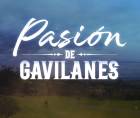 La telenovela Pasión de Gavilanes se consolidó como uno de los mayores fenómenos televisivos de América Latina desde su estreno en 2003, marcando un antes y un después en la industria del entretenimiento.