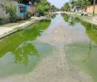 Las aguas negras en muchas colonias están causando problemas serios y nadie aborda el tema con la importancia que requiere. La Céleo Gonzales es una muestra de ello.