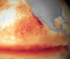 El calentamiento anómalo de las aguas del Pacífico ecuatorial es una de las principales señales de El Niño, fenómeno que continuará intensificándose hacia finales de 2026.