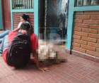 El hecho ocurrió en el Centro Básico José Trinidad Cabañas, del barrio Guanacaste, en Tegucigalpa