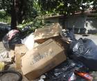 Los promontorios de basura están por toda la ciudad y los sampedranos claman a las autoridades porque mejoren el sistema de recolección en la ciudad.