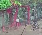 Captura de pantalla del video donde muere el hombre en La Ceiba.
