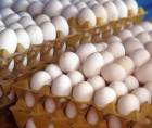 La SDE anunció operativos contra la especulación y el acaparamiento, mientras Senasa mantiene vigilancia en granjas comerciales y aves de traspatio.