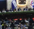El avance del proceso dependerá de los acuerdos políticos que alcancen las distintas fuerzas representadas en el Congreso Nacional.