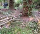 Los cuerpos quedaron dispersos en distintos puntos de la Finca Paso Aguán.