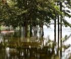 Parte del complejo turístico Finca Las Glorias permanece inundado por la crecida del Lago de Yojoa. Ante la situación, la administración invirtió en rampas flotantes para que los visitantes puedan continuar disfrutando de algunas actividades. Una alternativa que refleja el esfuerzo del negocio por adaptarse a la emergencia y hacerle frente a las pérdidas económicas.