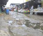 Esta es la realidad de las calles y avenidas aledañas a mercados y zonas donde se comercializan productos en la capital industrial en el cuadrante sureste.