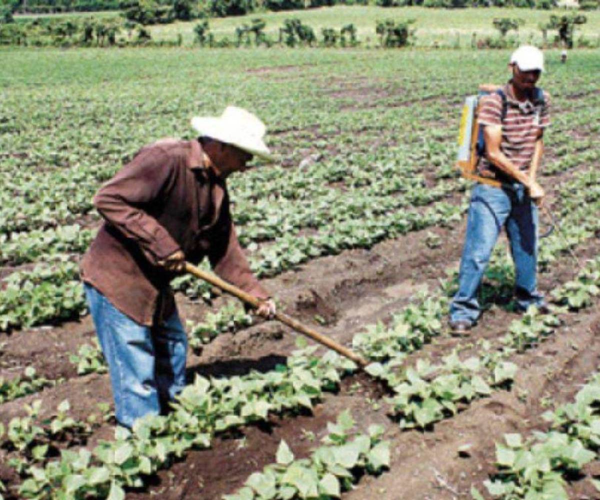 El programa aglutina diversas empresas que apoyan el sector agrícola, emprendedores y la inclusión financiera.