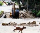 El puente para ingresar a Armenta fue demolido y está en construcción. Costará a los sampedranos L23 millones.