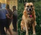 La Policía Nacional informó que un hombre de 31 años fue detenido durante un allanamiento de morada en el barrio Zaragoza de esa ciudad. Al sospechoso se le supone responsable del delito de maltrato animal.