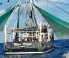 Las autoridades aseguraron dos embarcaciones: una de ellas es el barco pesquero camaronero Miss Celeste, con bandera hondureña, mientras que la segunda es una lancha rápida tipo “go fast”.