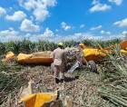 Una tragedia aérea se registró la mañana de este domingo en la zona norte de Honduras. Un hombre perdió la vida luego de que la avioneta en la que se transportaba cayera en un sector de la aldea <b>Cruz de Valencia</b>, en el municipio de La Lima.