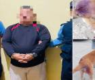 El hombre fue detenido tras una denuncia. Fotografías DPI.