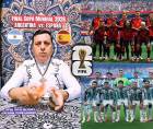 España y Argentina se juegan el título del Mundial 2026 por lo que la expectativa de los hinchas es muy grande. Es por ello que las predicciones se pusieron calientes y un famoso vidente hizo un sorprendente vaticinio para la final. ¿Quién será el campeón?