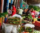 En cuanto a las verduras, los precios se mantienen variables en los mercados de San Pedro Sula.