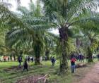 En la Finca Paso Aguán ocurrió la masacre.