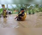 Los agentes del Cuerpo de Bomberos rescataron varias mascotas (perros) después de que la zona de Tornabé, en el municipio de Tela, Atlántida, se inundara por el desbordamiento de quebradas.