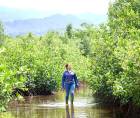 La laguna de Centeno en Las Salinas, Omoa, comienza a recuperar su vegetación gracias a la siembra de manglares impulsada por Sandra Cardenas y las comunidades de la zona.