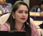 La comisión permanente se instaló por Luis Redondo el 1 de noviembre de 2025. Scherly Arriaga en una sesión legislativa.