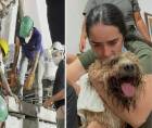 Cuando los rescatistas llevaban cerca de 48 horas removiendo toneladas de hierros retorcidos y concreto en las Torres del Limonar, en Cali, una señal de vida ilusionó a quienes seguían buscando entre los restos de uno de los edificios destruidos por el terremoto que sacudió a Colombia el pasado lunes.