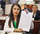 La diputada Iroshka Elvir sostuvo que es importante crear una política pública de seguridad integral que no solamente persiga el delito, sino que también lo prevenga”.
