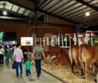 La Asociación de Ganaderos y Agricultores de Sula (AGAS) <b>lleva a cabo</b> la 58 Exposición Ganadera, Agrícola, Comercial e Industrial AGAS 2026, la cual <b>se desarrolla</b> del 19 al 28 de junio en la ciudad industrial, en homenaje a Rodrigo Salomón Fernández Ballesteros. Fotos: Yoseph Amaya