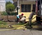 El incidente ocurrió el pasado miércoles en la residencial Atlante de La Ceiba.